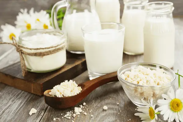 Monk Fruit Extract of Dairy Products