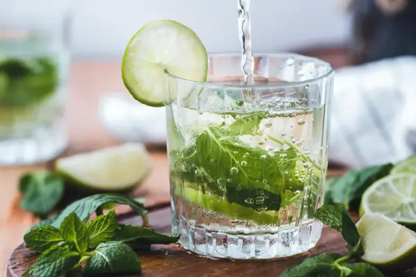 Monk Fruit Extract of Low sugar Beverages