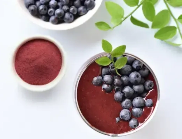 Bilberry Extract – Anthocyanins