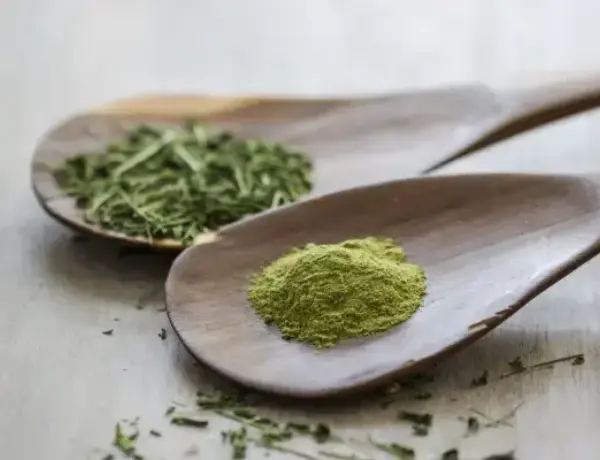 Centella Asiatica Powder