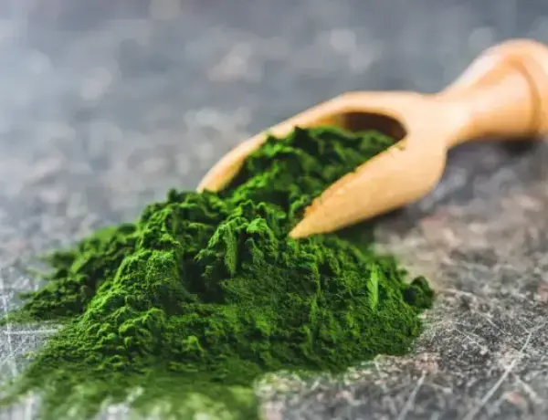 Chlorella Powder