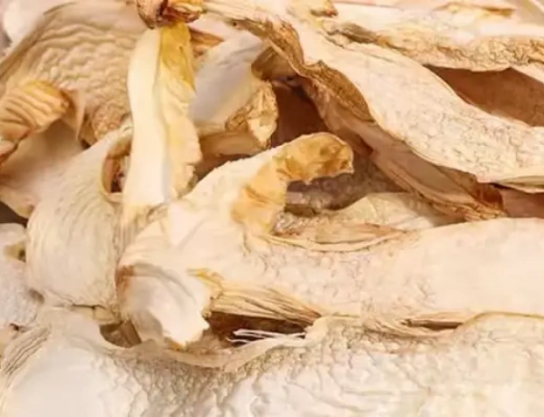 Dehydrated Matsutake Mushroom