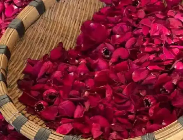 Dehydrated Rose Petals