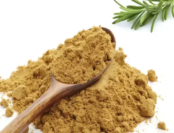 Rosemary Extract