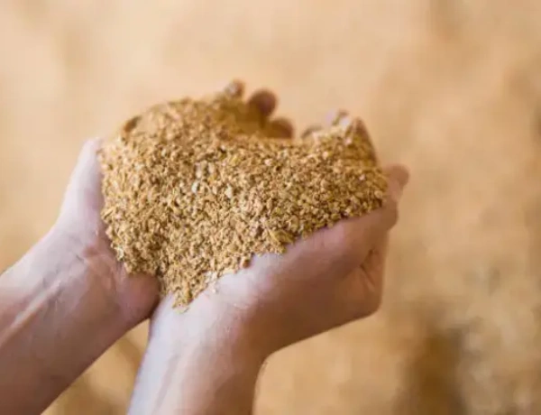 Soya Isoflavones Extract Powder