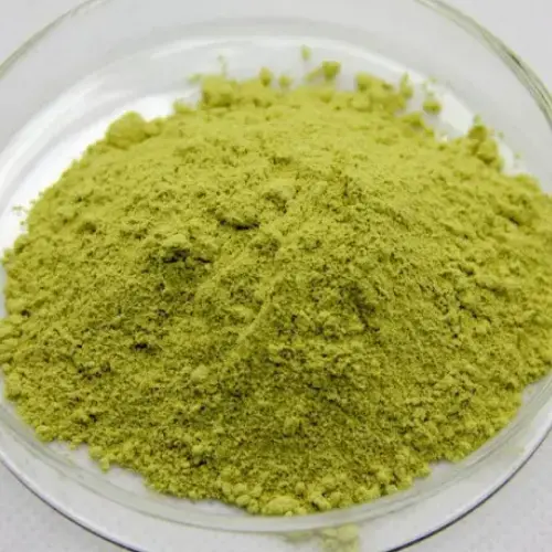 Sophora Japonica Extract