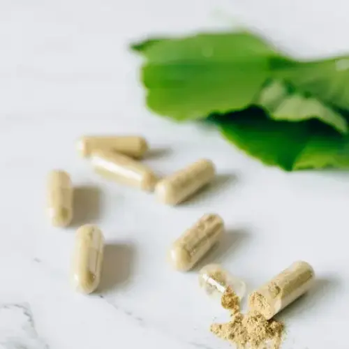 Ginkgo Biloba Extract