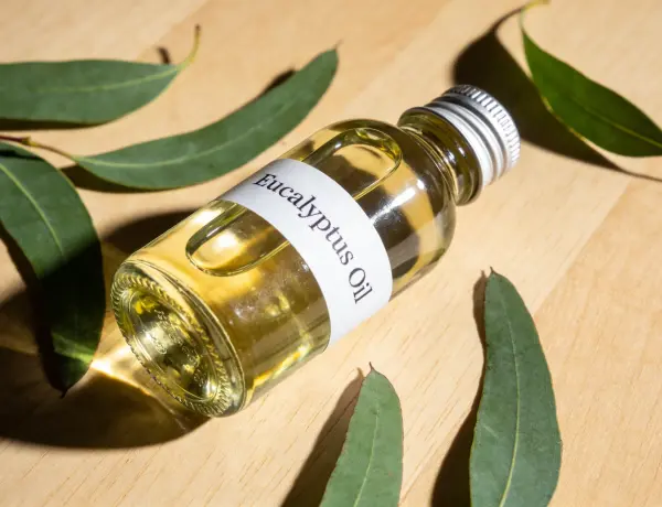 Eucalyptus Oil 2