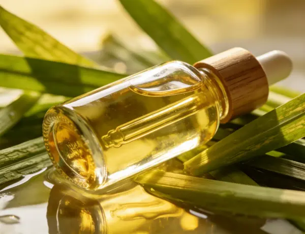 How to make Citronella Oil from citronella plant 3