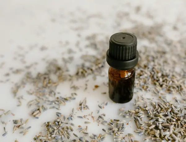 Eucalyptus VS. Spearmint Essential Oil
