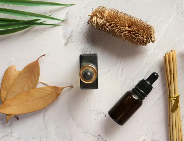 Eucalyptus VS. Spearmint Essential Oil 3
