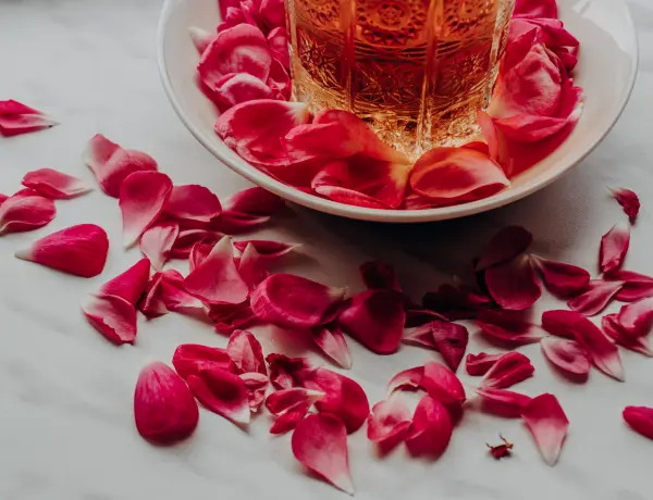 Can Rose Oil Affect Pregnancy 3