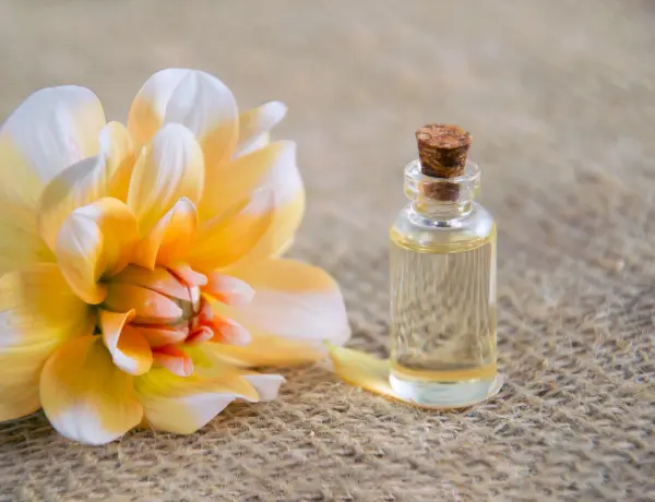 Can I Use Jasmine Oil For Low Porosity Hair 1