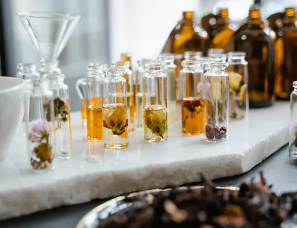 Is Wintergreen Oil Safe During Pregnancy 2