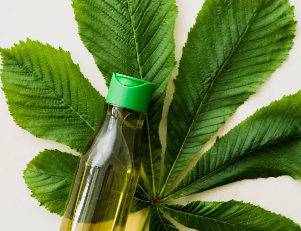 Why Does Tea Tree Oil Help Dandruff 2