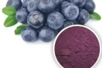 Bilberry-Extract-–-Anthocyanins-3