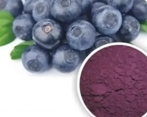 Bilberry-Extract-–-Anthocyanins-3