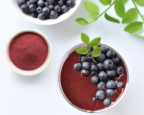 Bilberry-Extract-–-Anthocyanins-7
