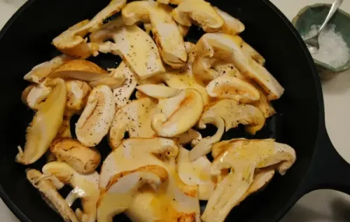Dehydrated-Matsutake-Mushroom-Application-2 Dehydrated-Matsutake-Mushroom-Application-2