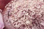 Dehydrated-Onion-4
