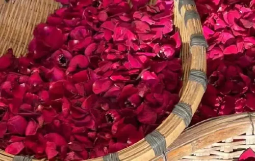 Dehydrated Rose Petals Dehydrated Rose Petals