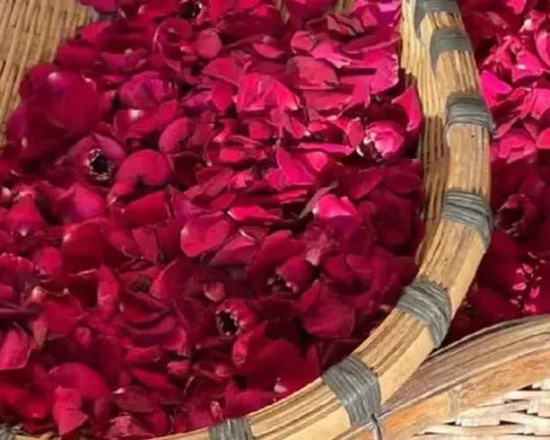 Dehydrated Rose Petals