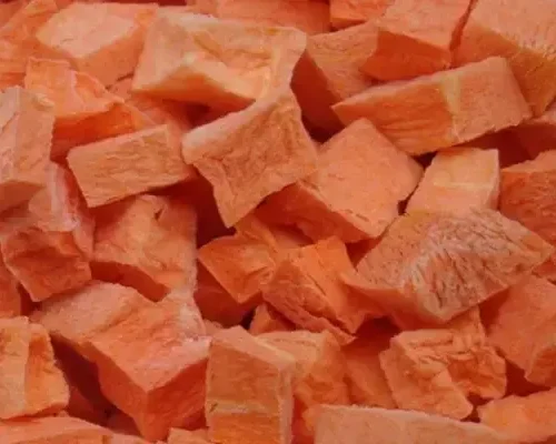 Freeze-Dried-Carrot-Cubes-11