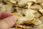 Freeze-Dried-Ginger-13