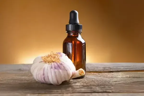 Garlic-essential-oil-8 Garlic-essential-oil-8