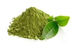 Green-Tea-Extract-14