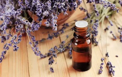 Lavender-Essential-Oil-1-2 Lavender-Essential-Oil-1-2