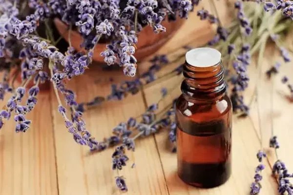 Lavender Essential Oil特色图片 Lavender Essential Oil特色图片
