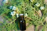 Thuja-Esseneial-Oil-13