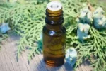 Thuja-Esseneial-Oil-2