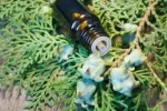 Thuja-Esseneial-Oil-3