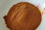 Ginkgo Biloba Extract