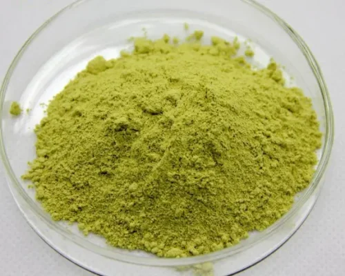 Sophora japonica extract