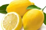 lemon-oil2