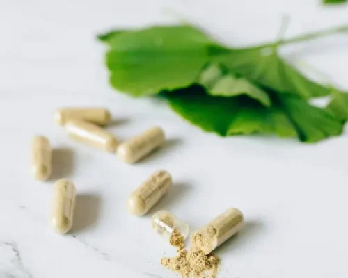 Ginkgo Biloba Extract2