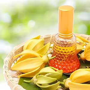 Children's Use of Essential Oils: Safety Points and Warm Guideline